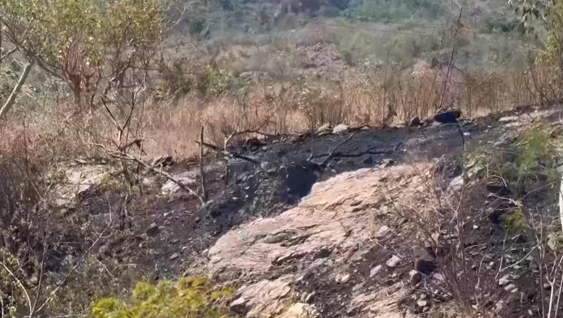 Se registra incendio forestal en San Agustín por quema ilegal de basura