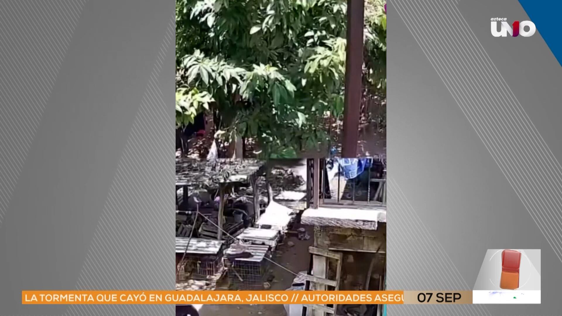 Violencia en Xaltianguis: Reportan enfrentamientos, hallazgo de cuatro cuerpos y 16 detenidos