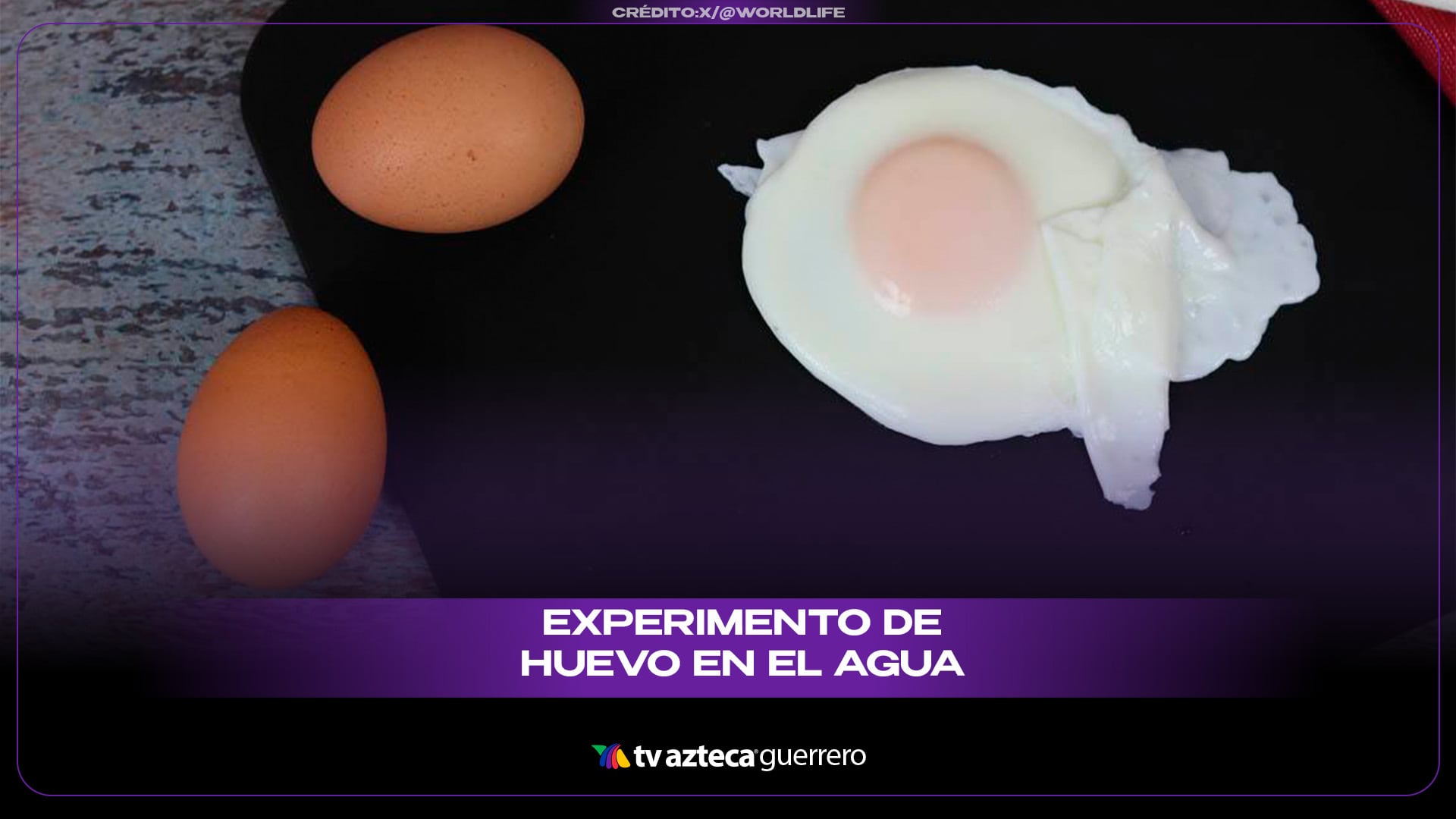 Rompió un huevo a 10 metros bajo el agua y el resultado desafía la gravedad