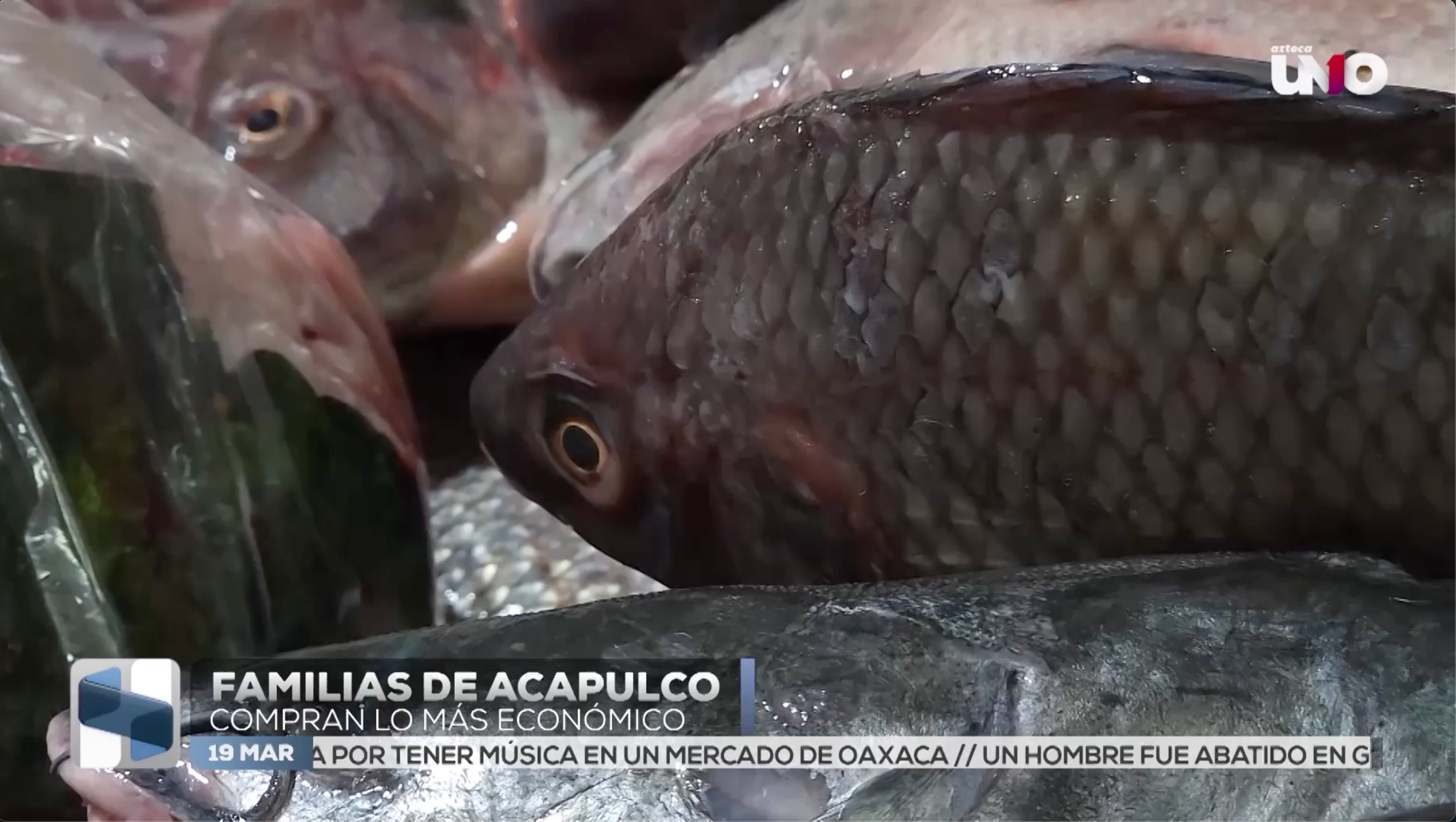 Captura de pantalla 2026-03-19 a la(s) 3.39.44 p.m..png