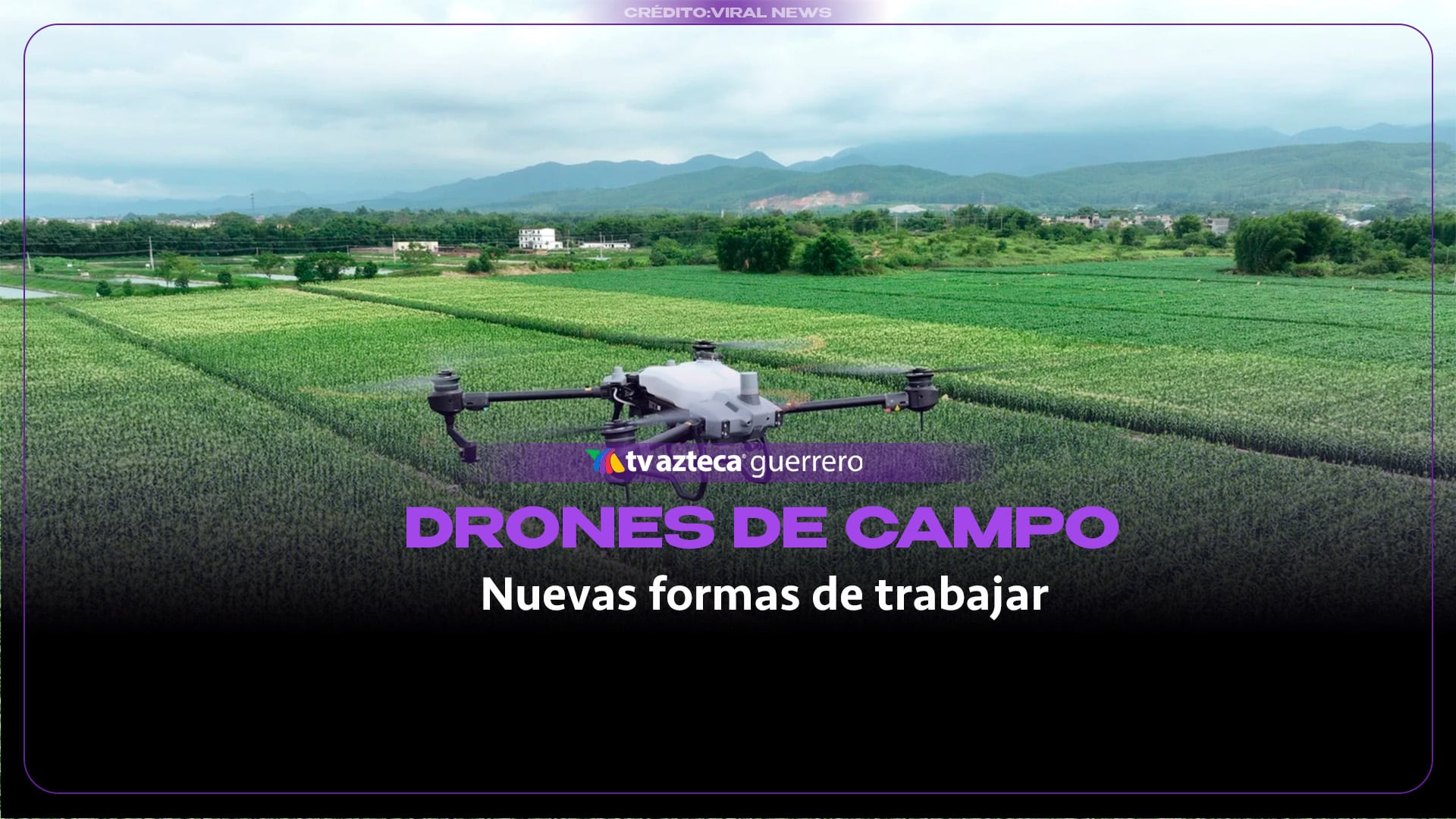 La revolución silenciosa del campo: cómo los drones están cambiando la agricultura