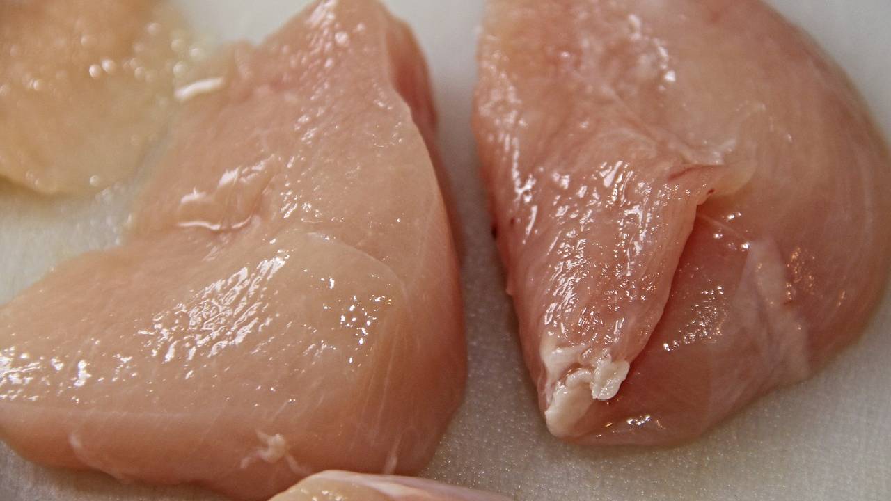 Carne, pechuga de pollo