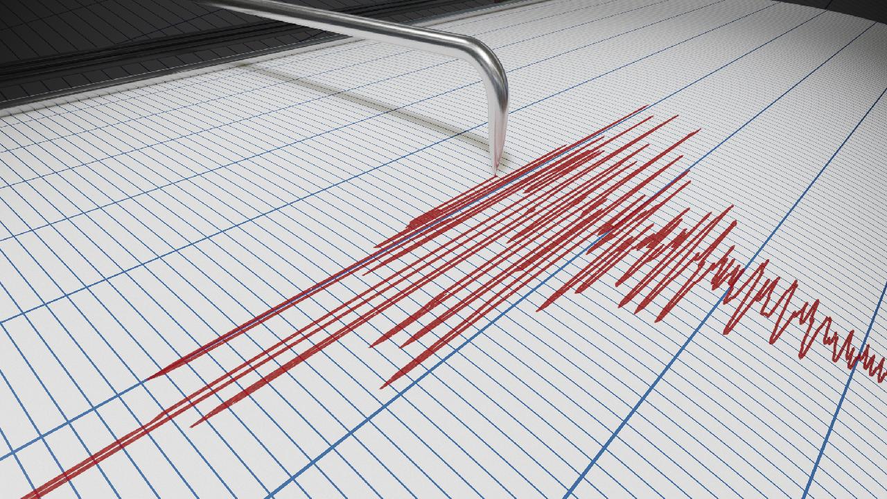 Sismo plk (1).jpg