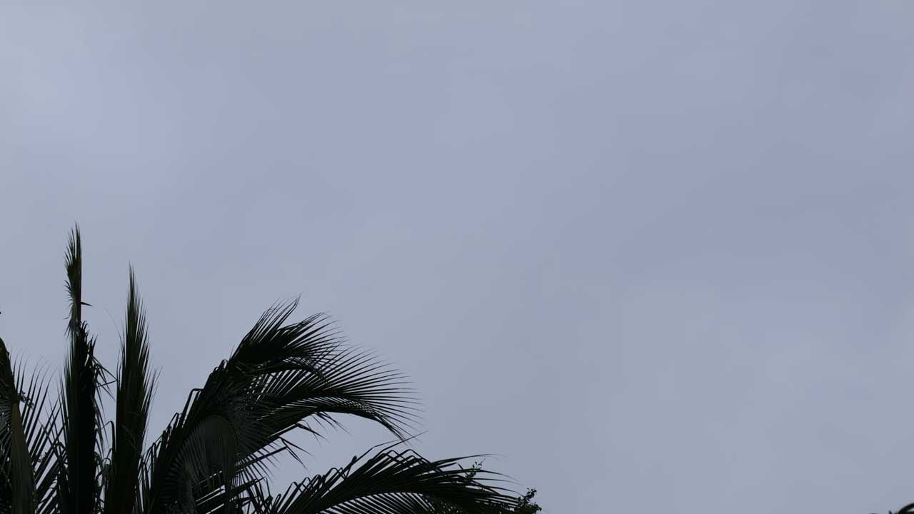 Onda tropical ya provoca fuertes lluvias en Guerrero; estas son las regiones más afectadas
