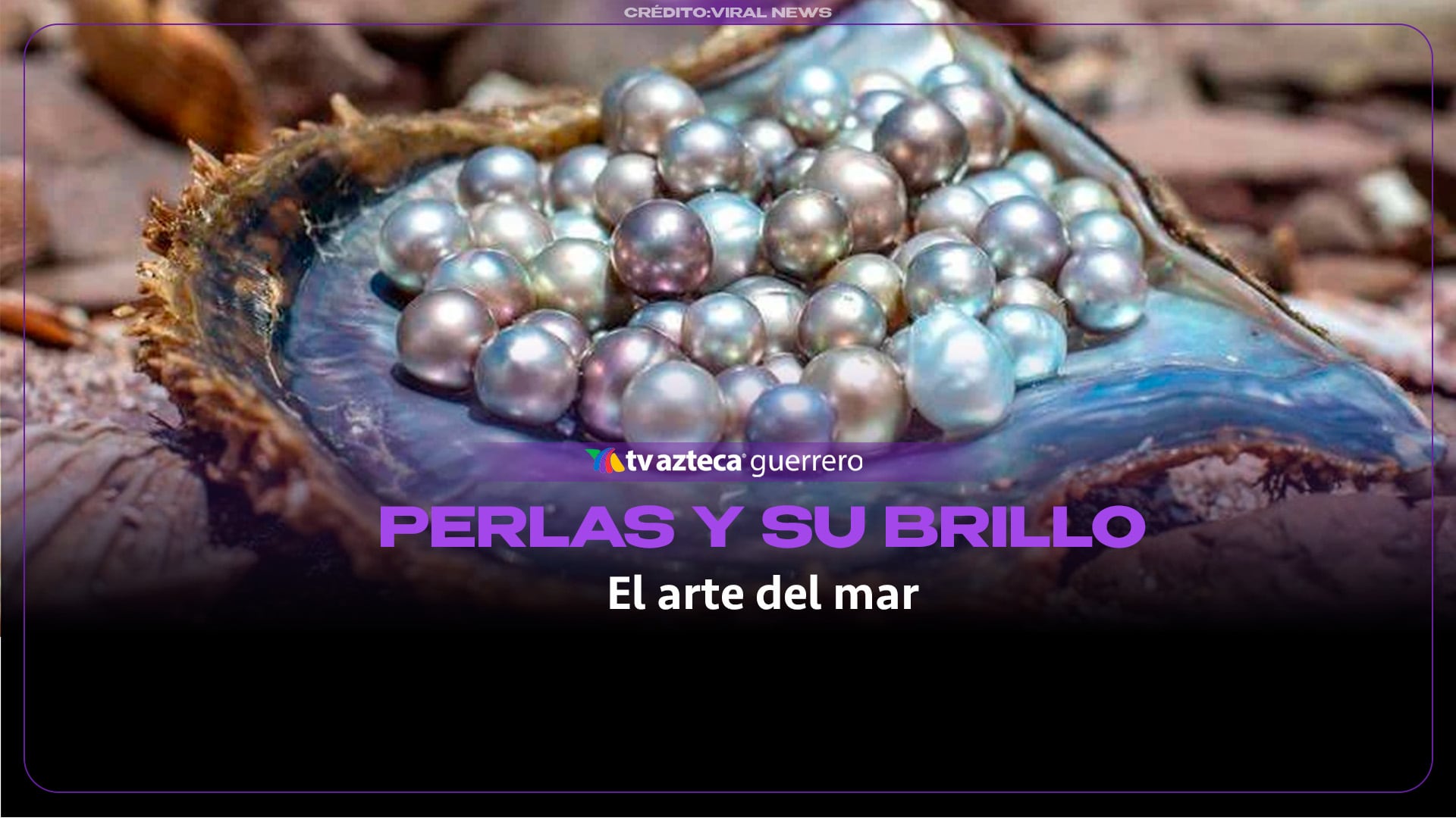 El secreto de los 5 años: ¿Cómo nace una perla de agua dulce desde cero?