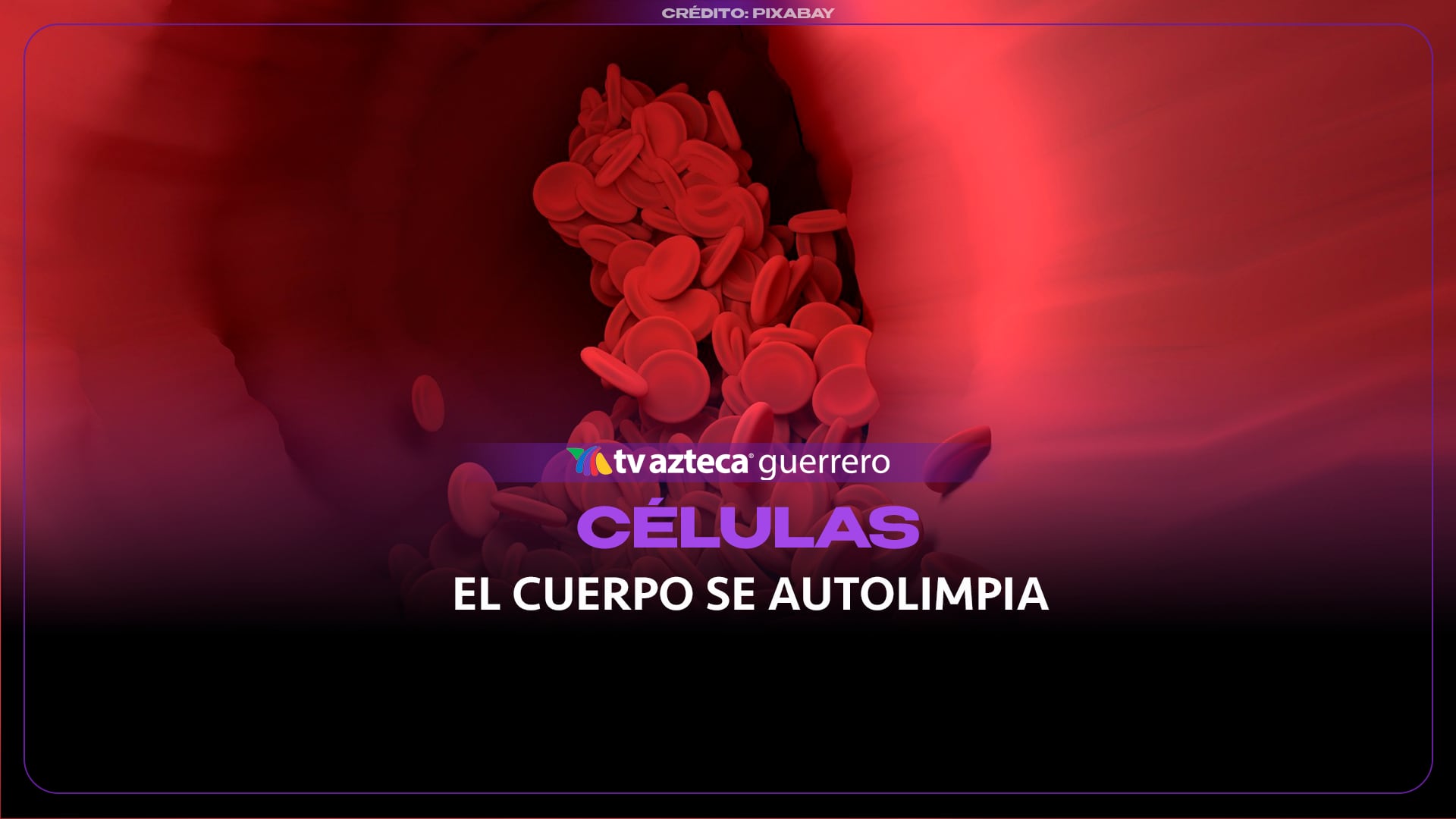 ¿El cuerpo humano se limpia solo? Así funciona su sistema de autolimpieza