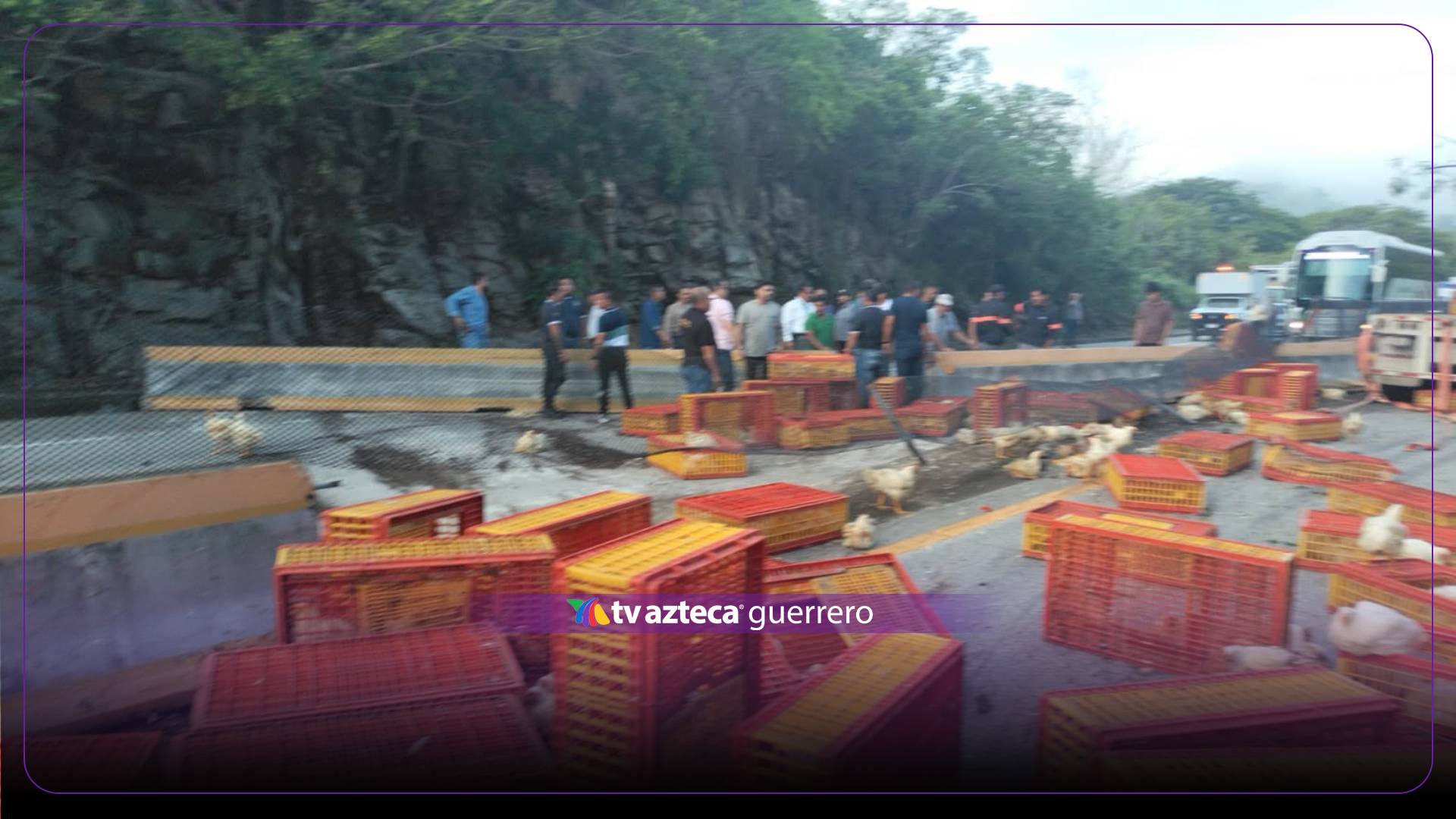 Rapiñan pollos tras choque de tráiler en la Autopista del Sol