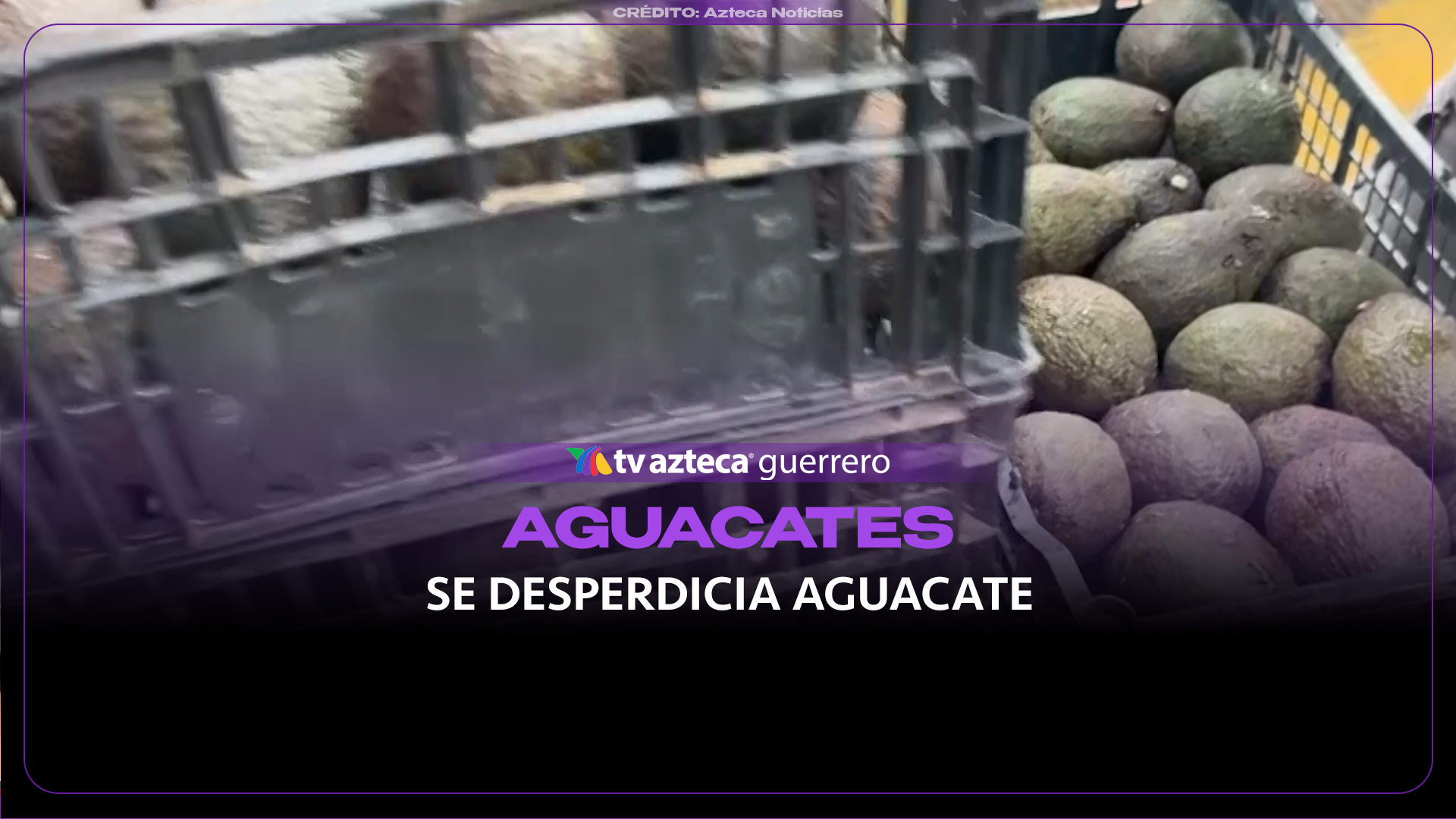 Tras perder toneladas de aguacate por falla técnica, productores de la Sierra lo regalan en Acapulco