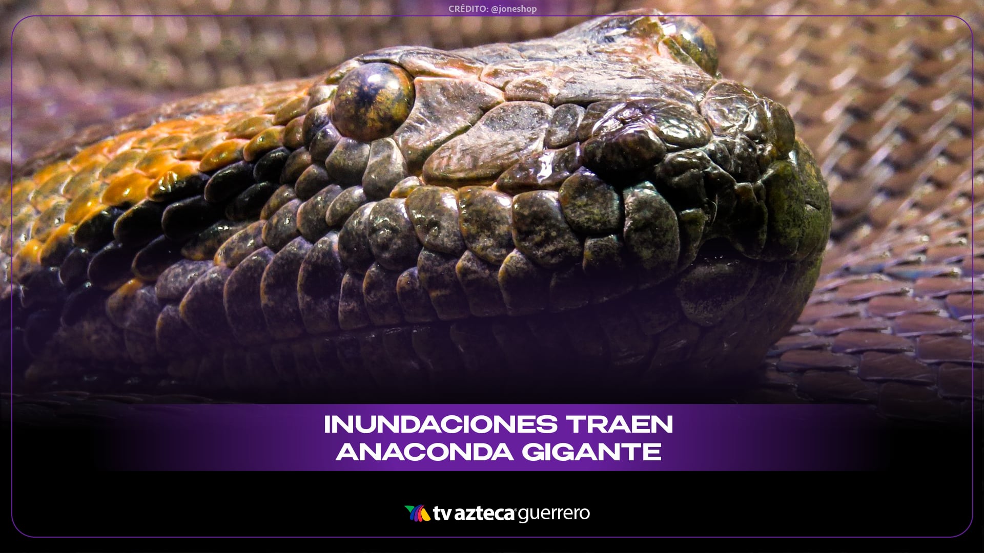 Inundaciones dejan calles sumergidas y la aparición de una enorme anaconda